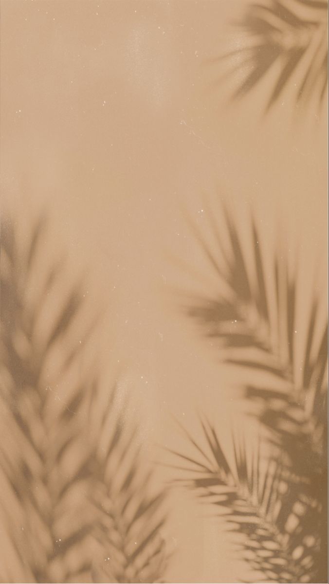 Boho Wallpaper Palm Leaf In Bohemian iPhone