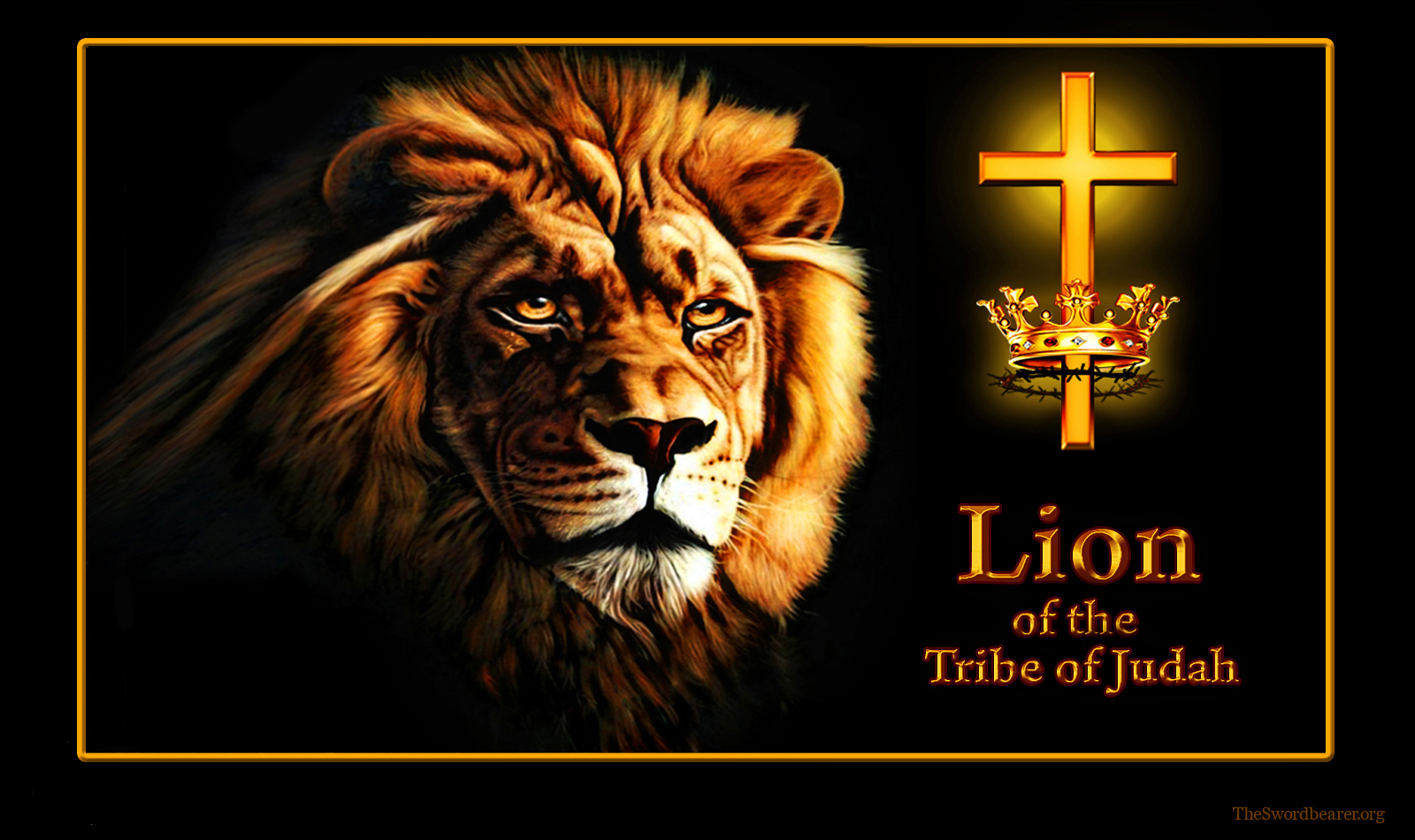 Lion Of The Tribe Judah Wallpaper