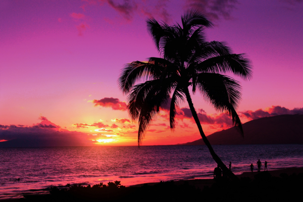 Beach Sunset Backgrounds Purple Beach sunset b