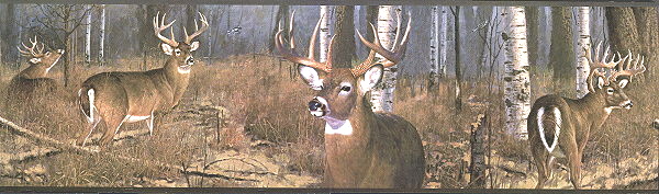 Deer Wallpaper Pelauts