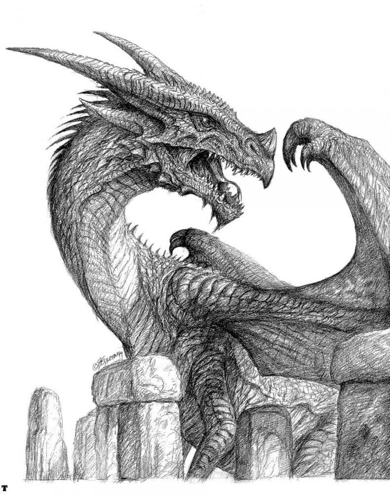 Dragon Drawings