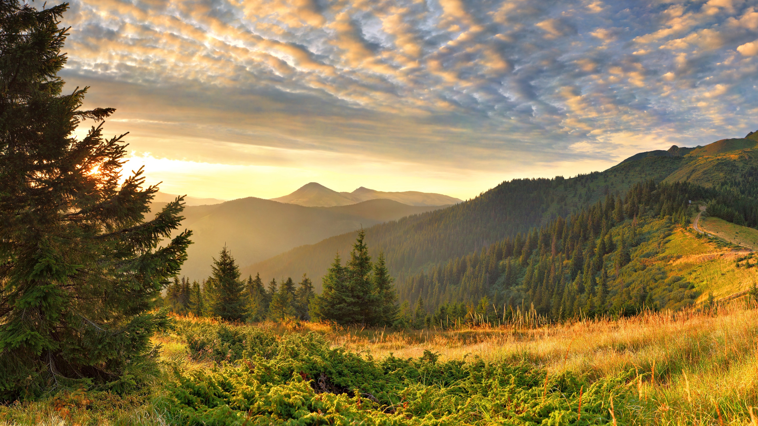 Mountain Landscape HD Wallpaper