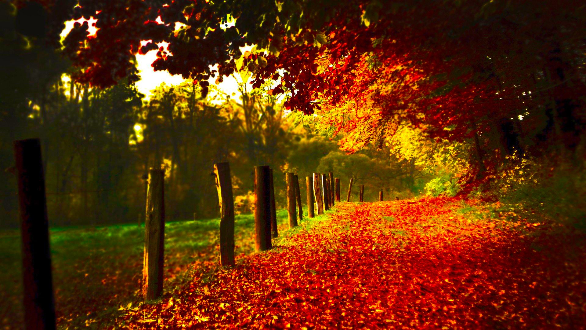 Autumn Scenery Wallpaper HD Jpg