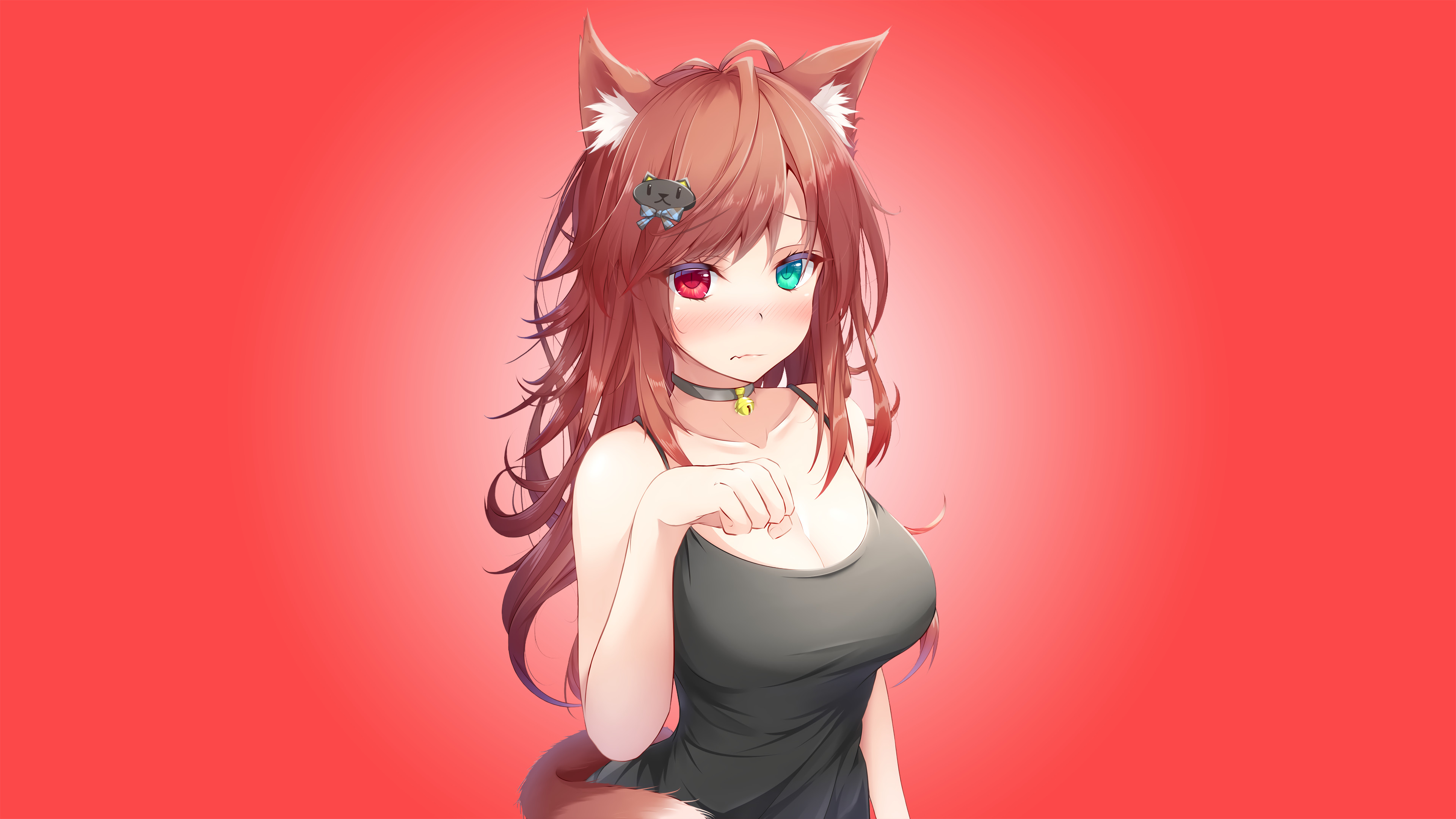 Anime Cat Girl Wallpaper Image