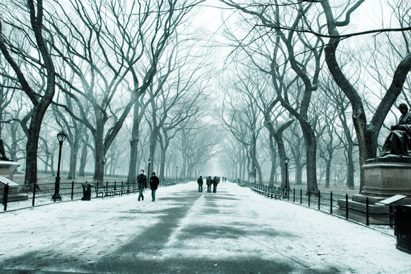 Winter Walk Central Park By Blank69