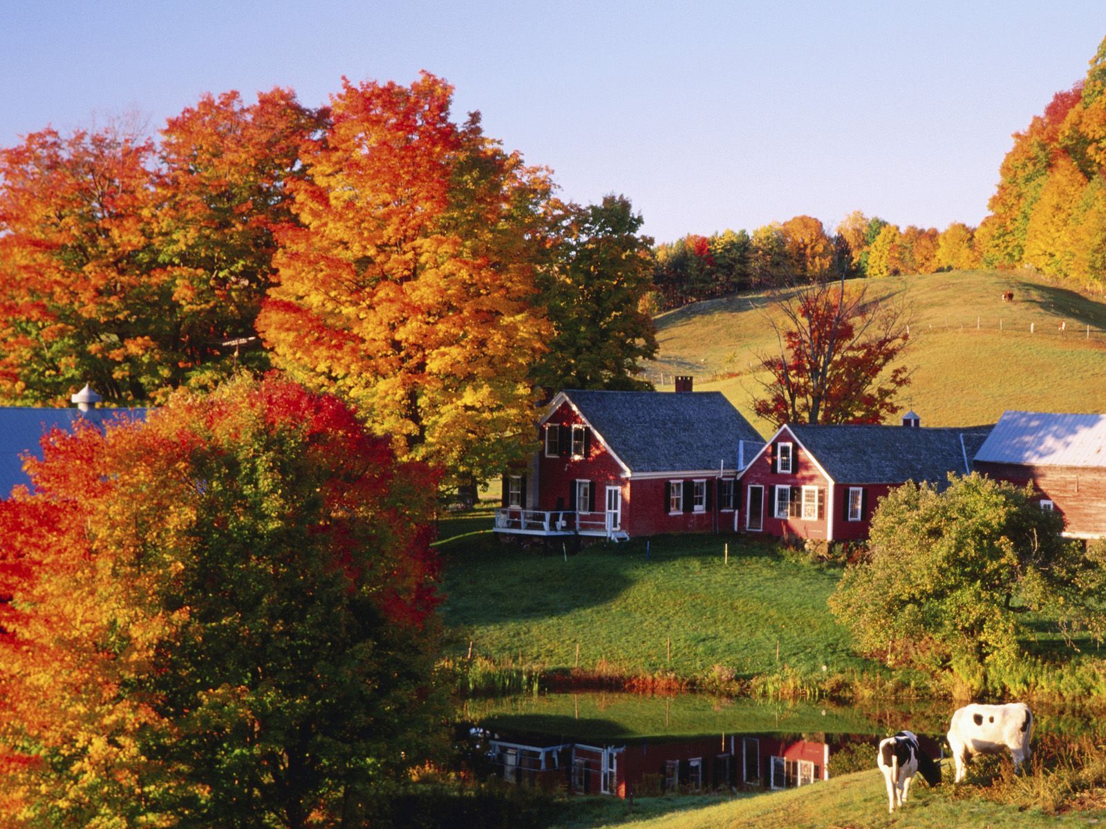 Vermont Fall Foliage Wallpaper Top
