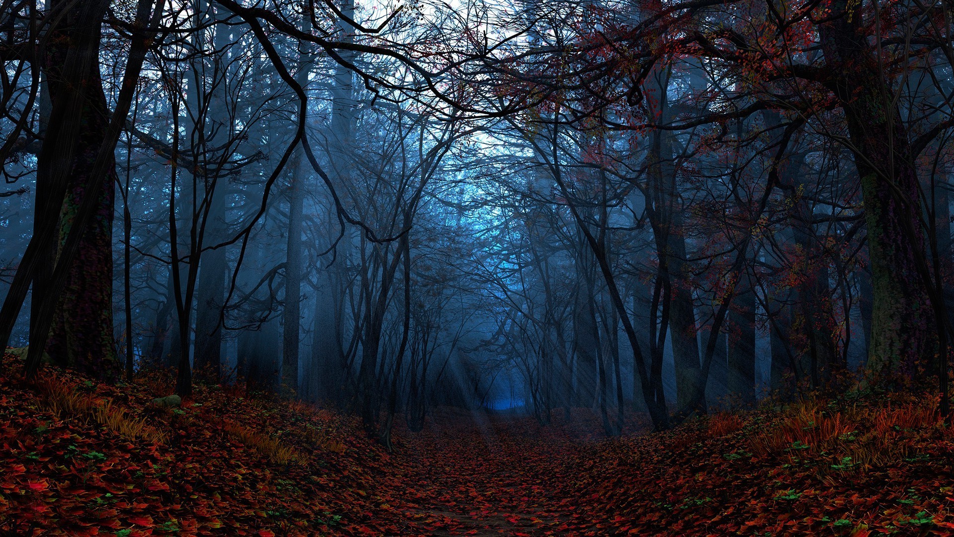 Path Through The Autumn Forest Wallpaper