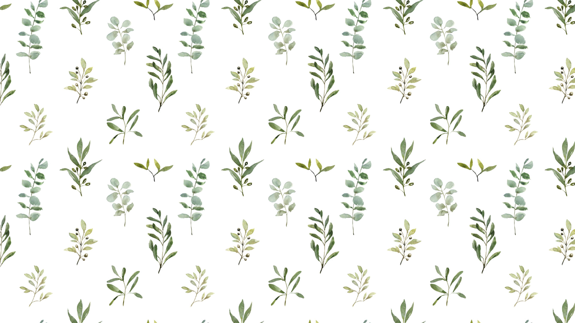 Details Sage Green Laptop Wallpaper Super Hot
