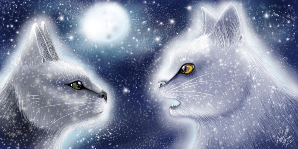 Warrior Cats Wallpaper Star A Prophecy From By