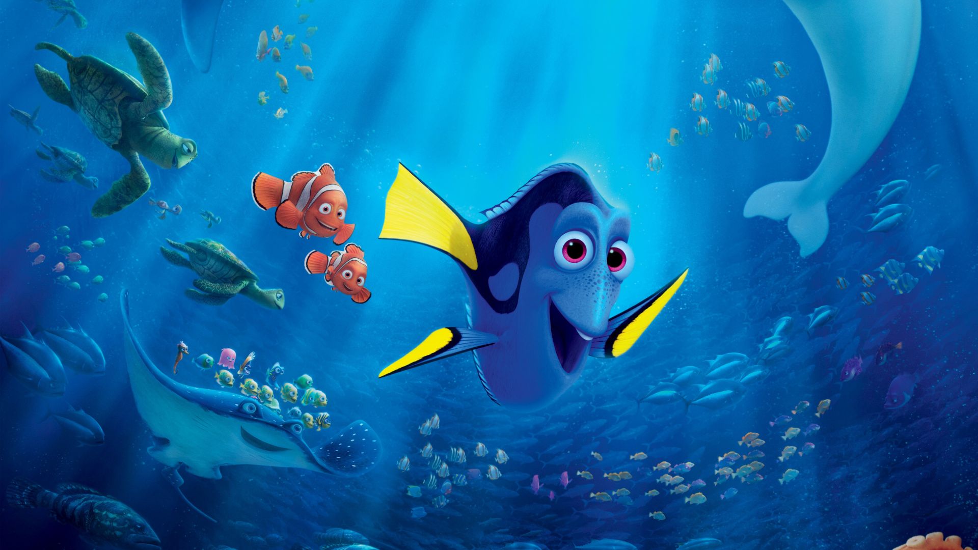 Finding Dory Fish Wallpapers