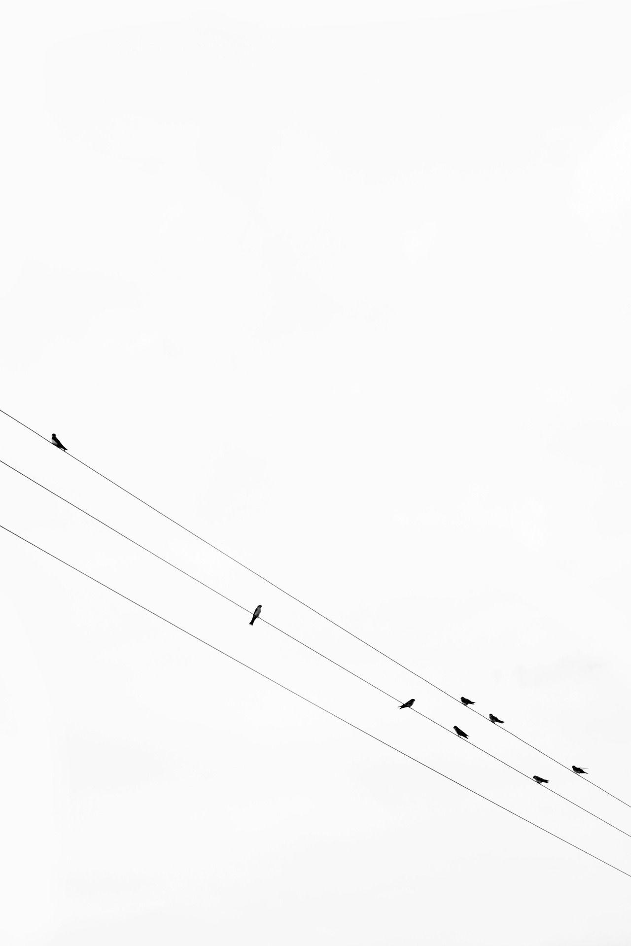 Handcrafted In Virginia Minimalist Photography Black Wallpaper