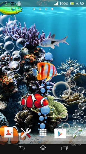 Of Wallpaper Sea Constantly Effervescent Tropical Fish Swimming