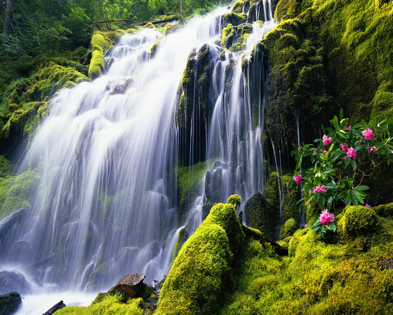 Waterfall Desktop Wallpaper Free Download Wallpapersafari