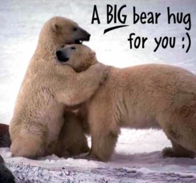 Free download Happy hug day wallpaper and pictures 2014 Hot HD
