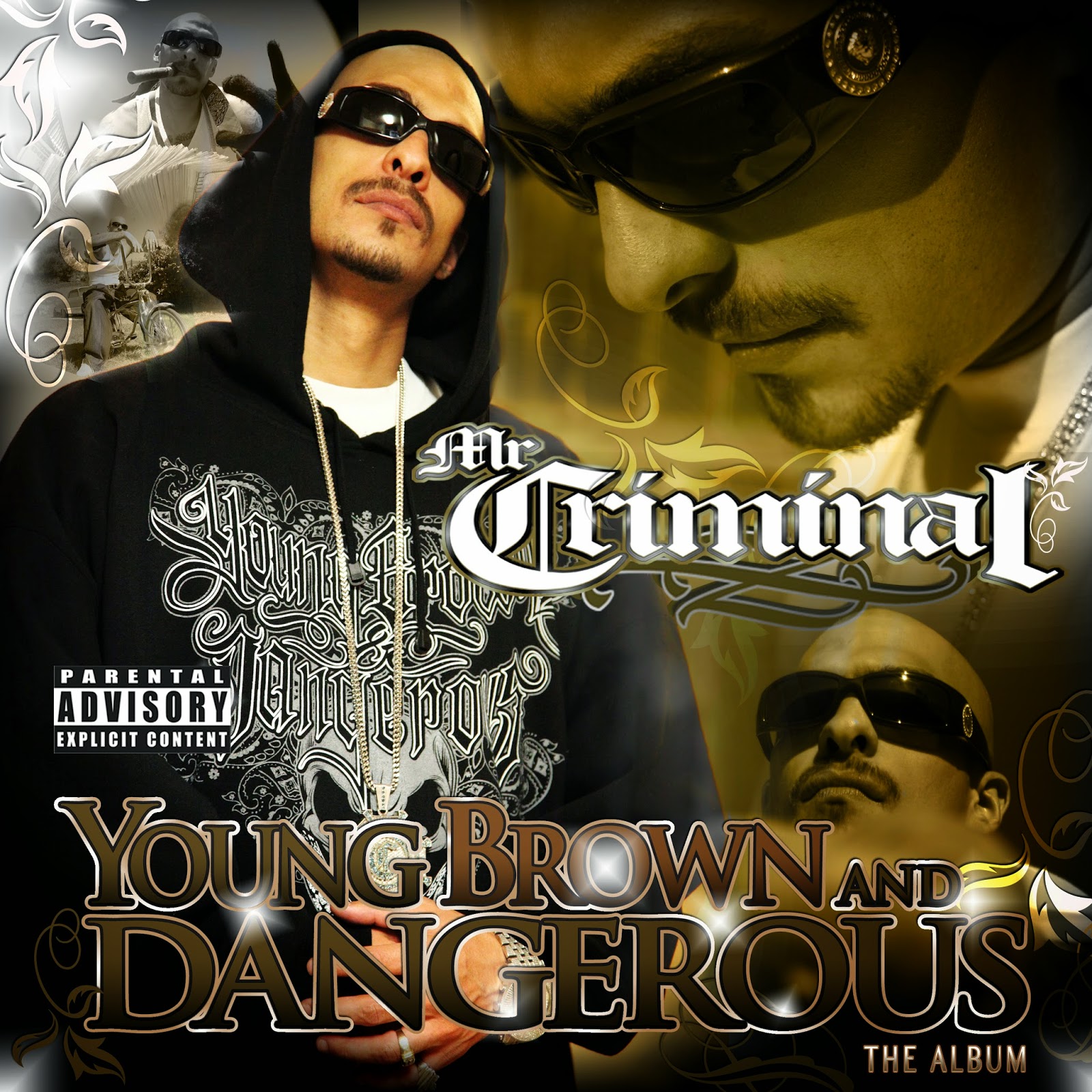 Mr Criminal Young Brown And Dangerous The Album
