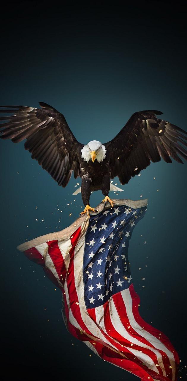 🔥 Free download USA wallpaper by 287c Free on ZEDGE American