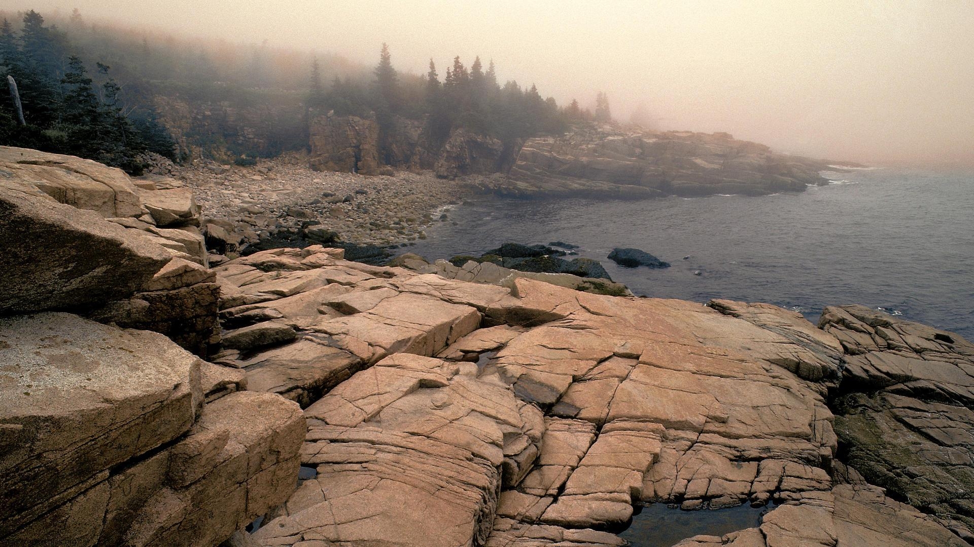 Fog Laden Acadia National Park Maine HD Wallpaper Creative Pics