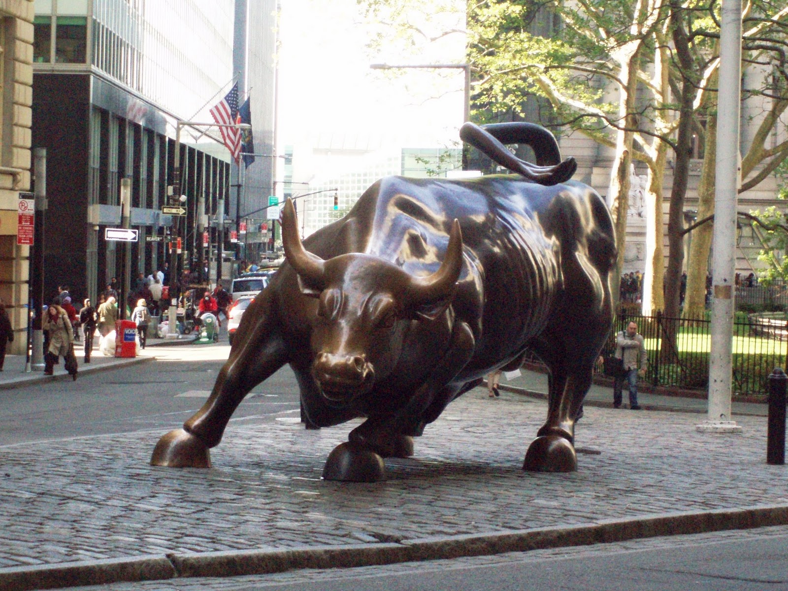 Wall Street Bull Wallpaper The