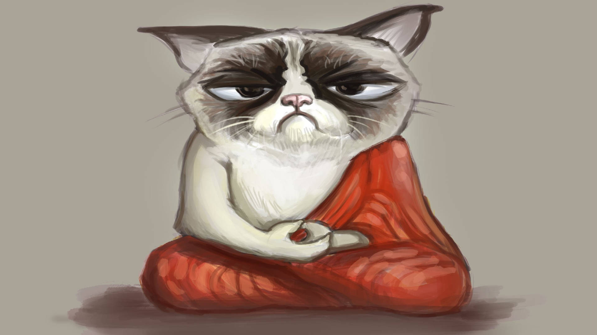 Cat Meme Picture Wallpaper
