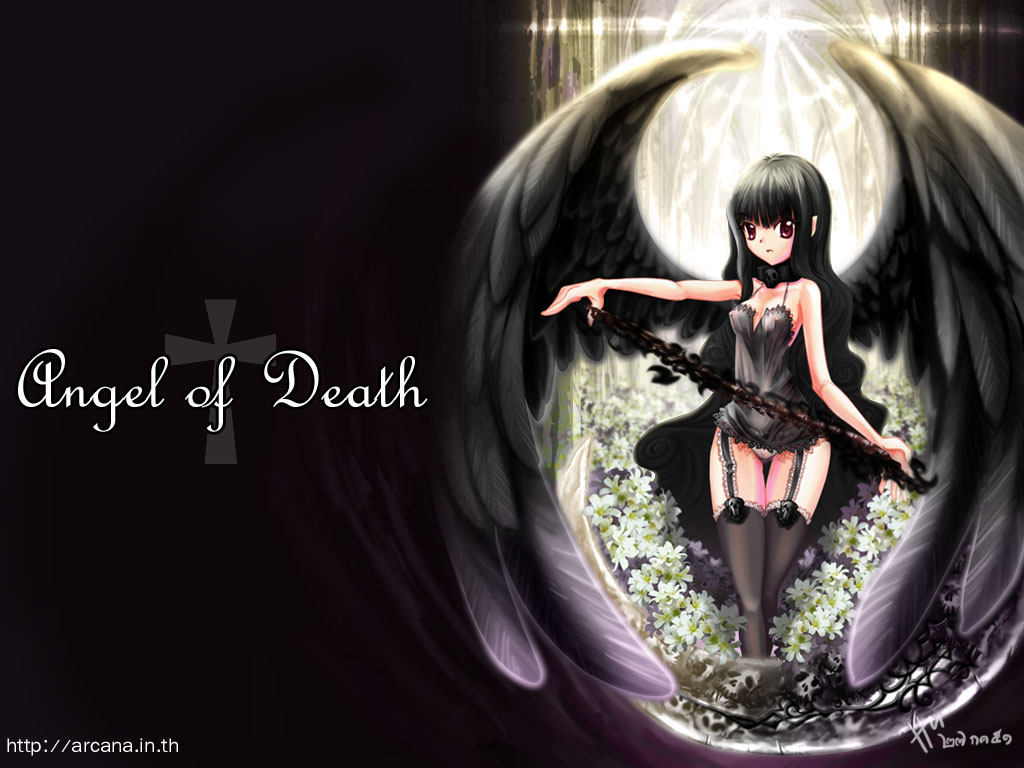 Free download Kinds Of Wallpapers Anime Angel Of Death Wallpaper