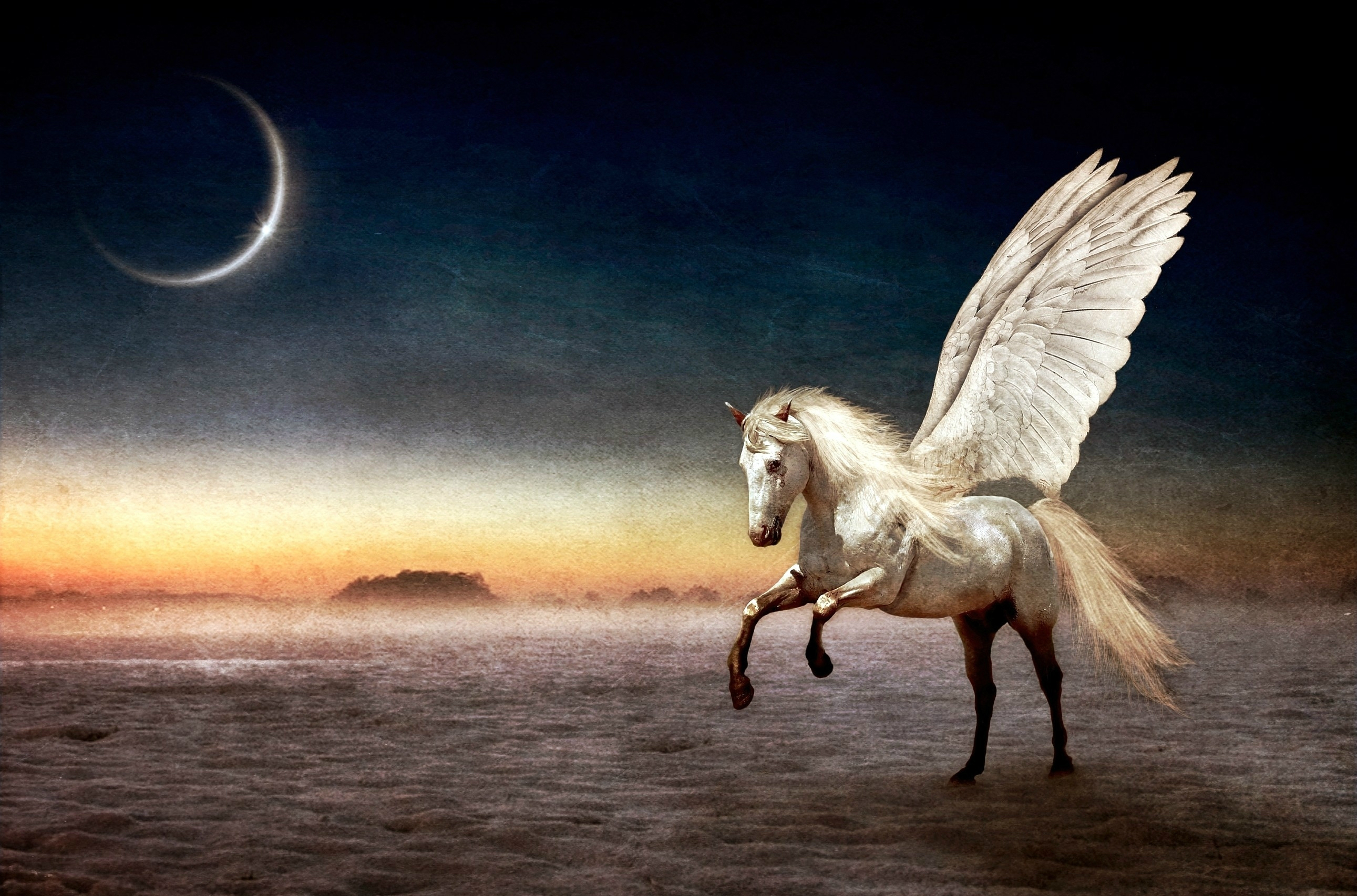 Pegasus Wallpaper Background