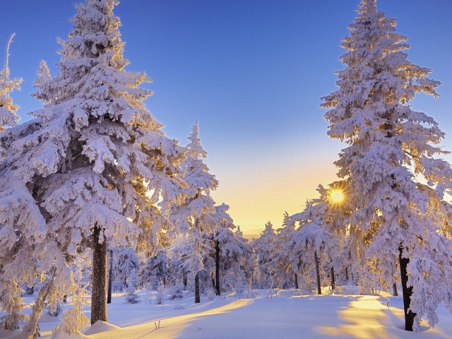 The Best Winter Wonderland Wallpaper HD