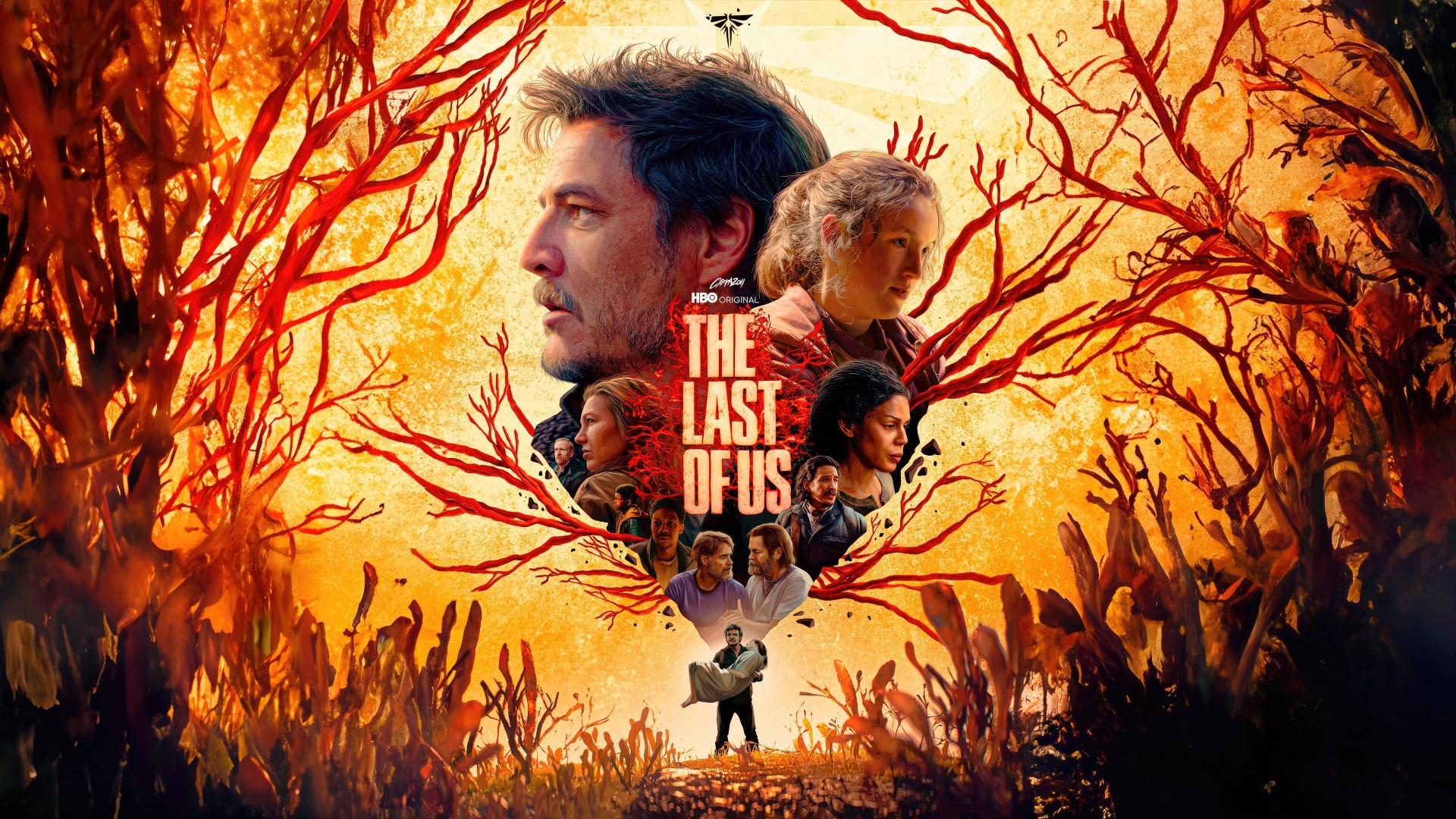 The Last Of Us Wallpaper 4k Hbo Series
