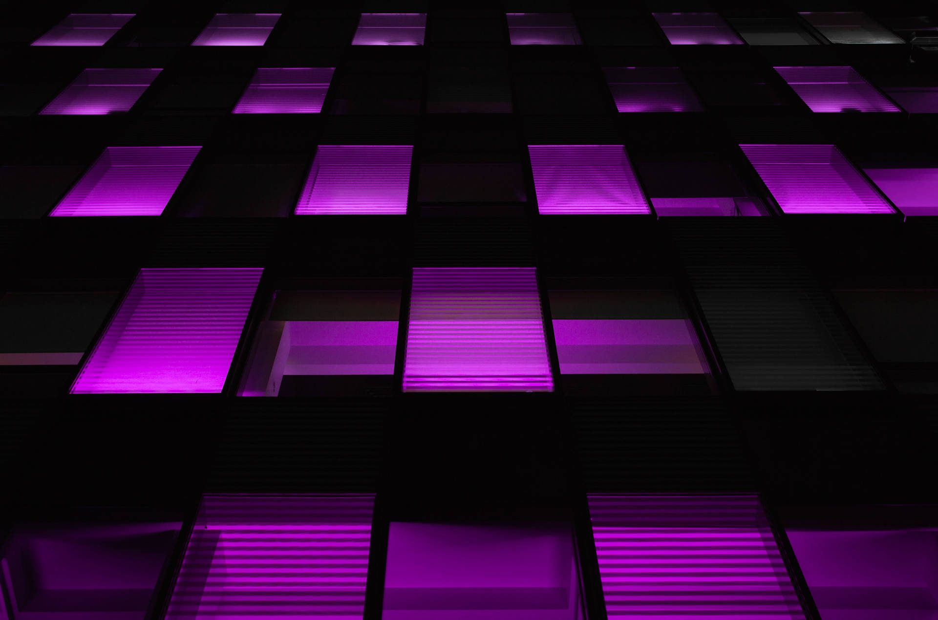 Neon Purple Wallpaper