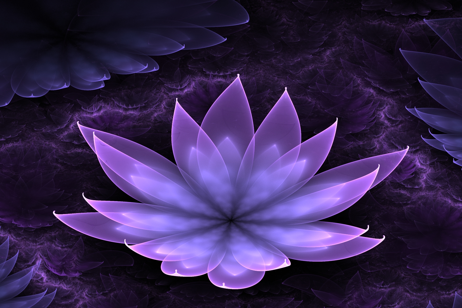 Purple Lotus Flower Wallpaper HD Background