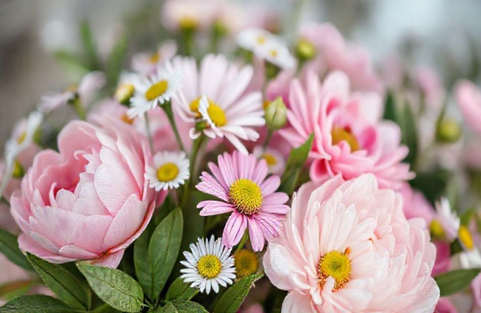 Aesthetic Flowers Wallpaper
