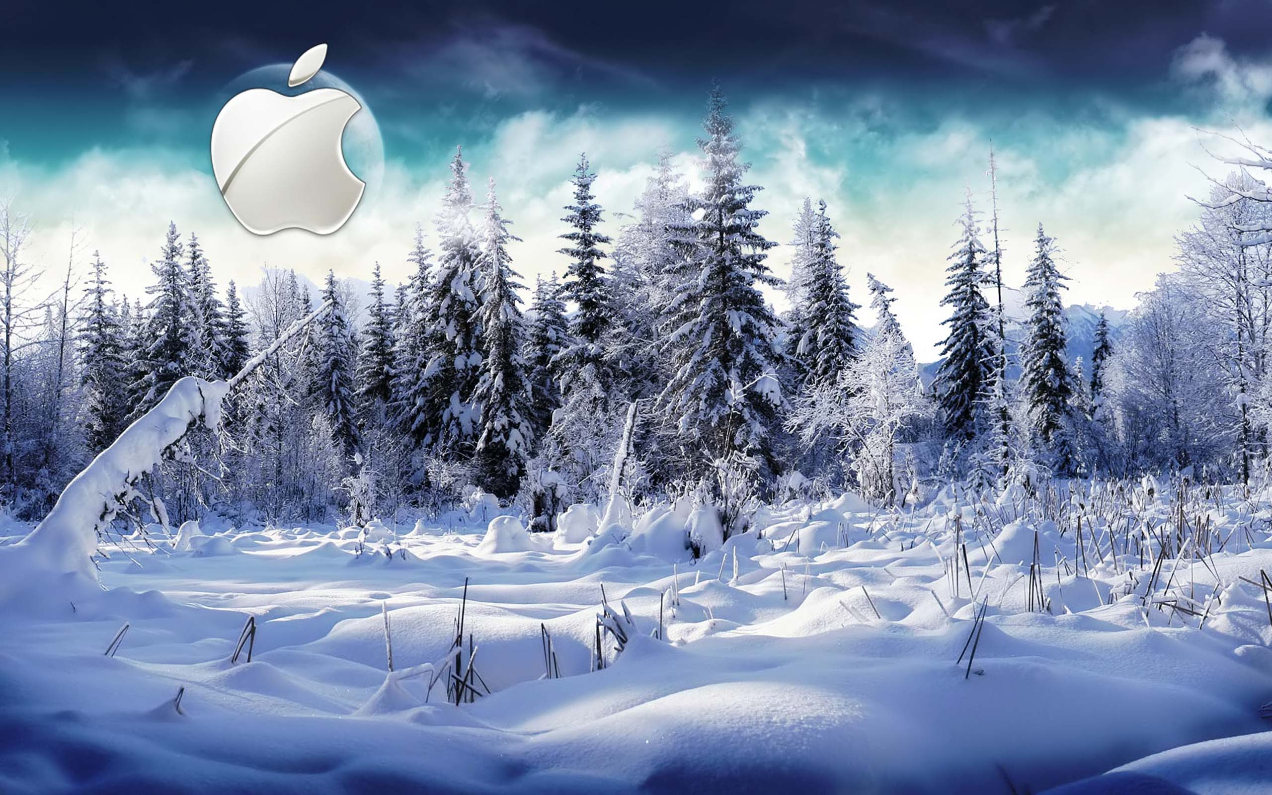 Desktop Wallpaper Gallery Puters Winter Apple Mac