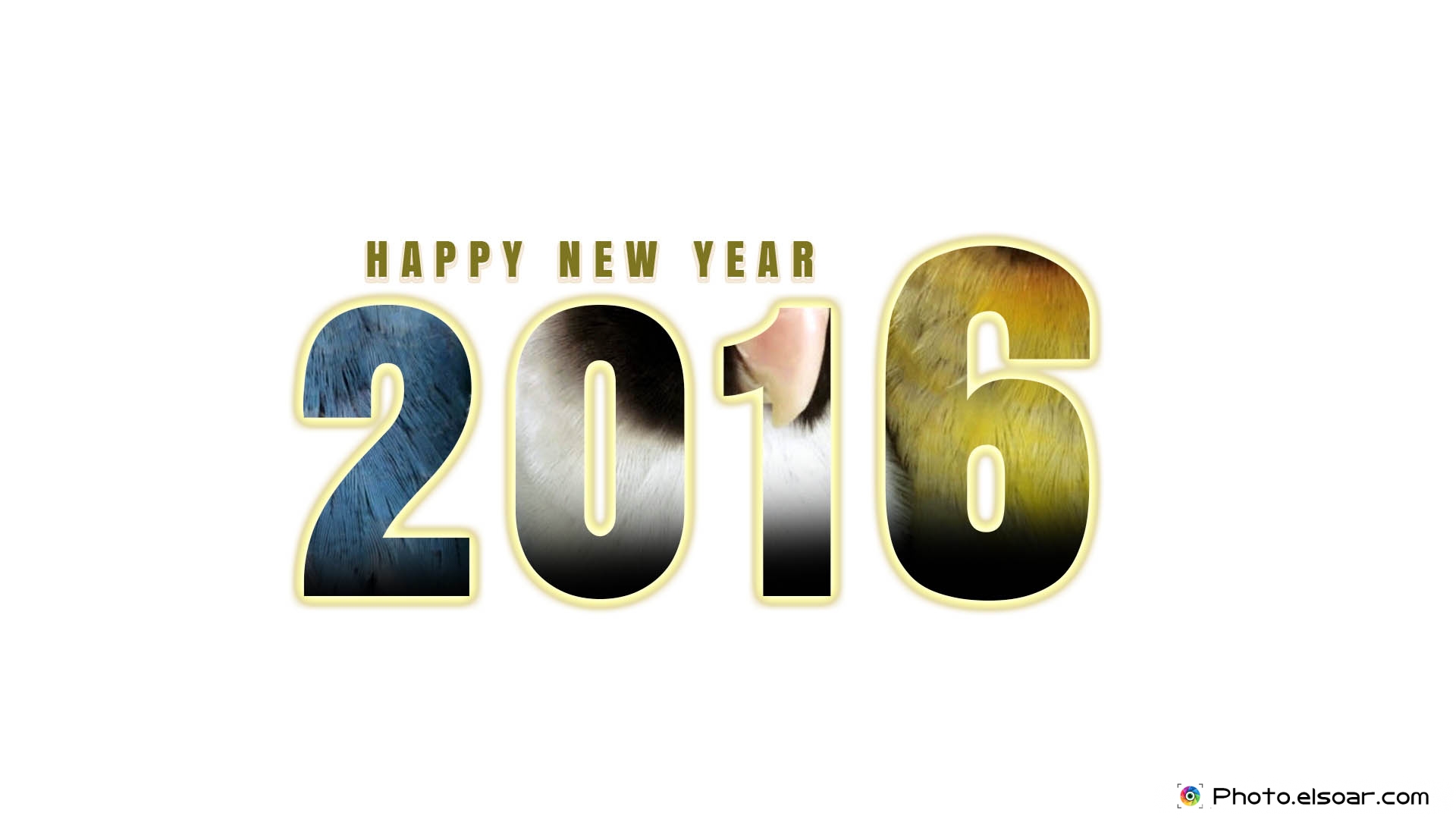 Happy New Year 2016 Images Wallpapers And Greeting Cards 1920x1080