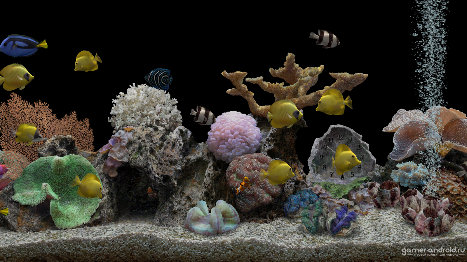 Marine Aquarium Pro