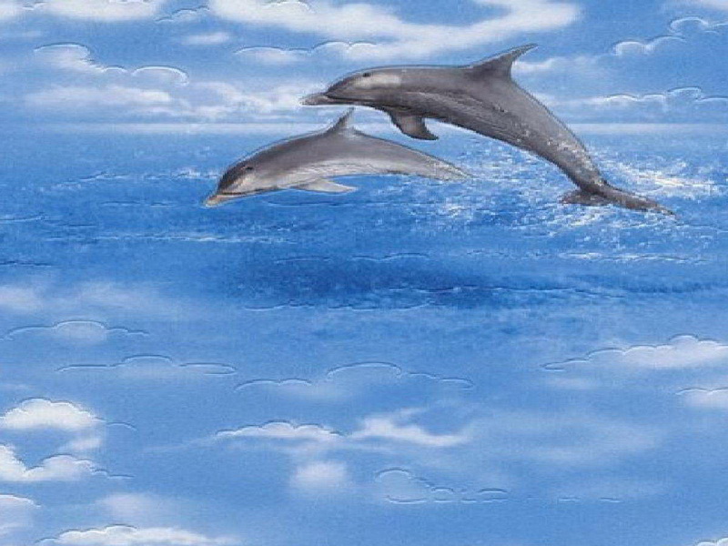 Waterproof Wallpaper For Bathrooms Dolphin