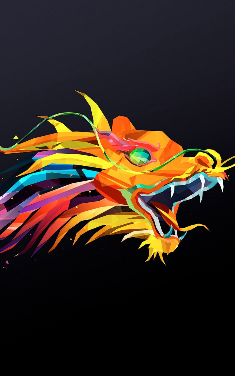 The Dragon HD Wallpaper For Kindle Fire HDwallpaper
