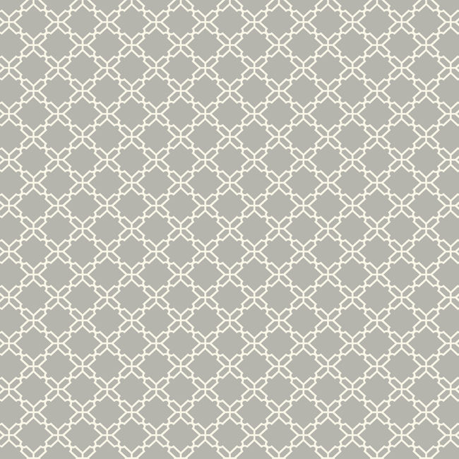 Patterns Lattice And Trellis Tanya S Metal Grey