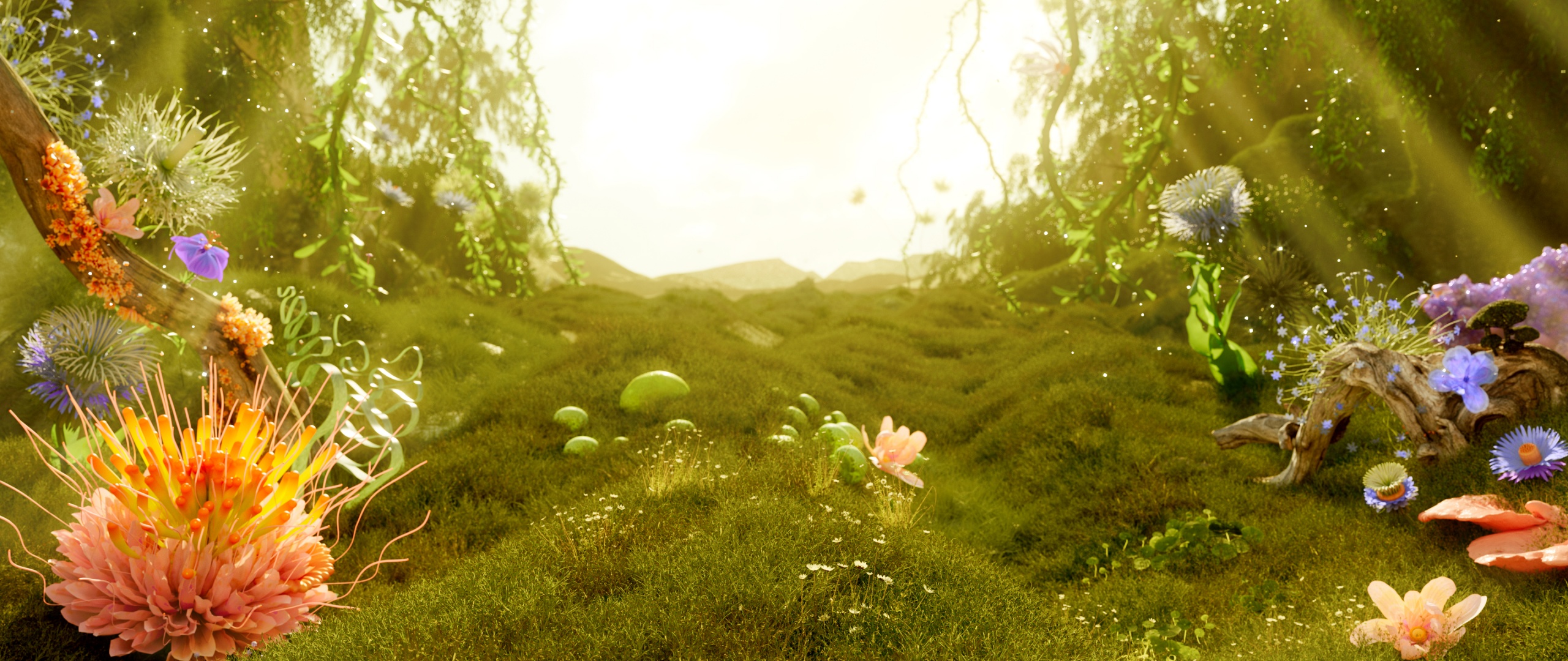 Mystical Forest Wallpaper 4k Sunlight Serenity