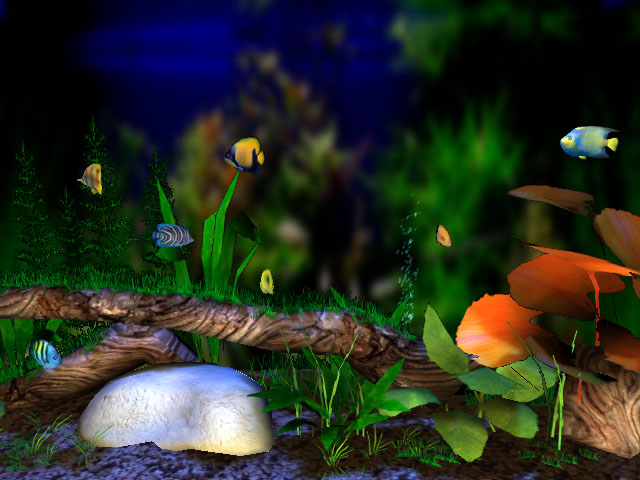 3D Bungalow Aquarium screensaver   the beautiful large aquarium