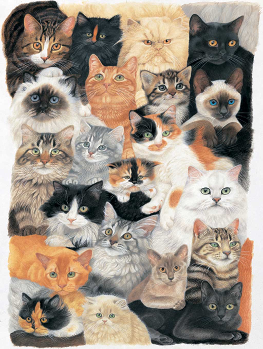 Cat Collage Wallpapers wallpaper wallpaper hd background desktop 1024x1356