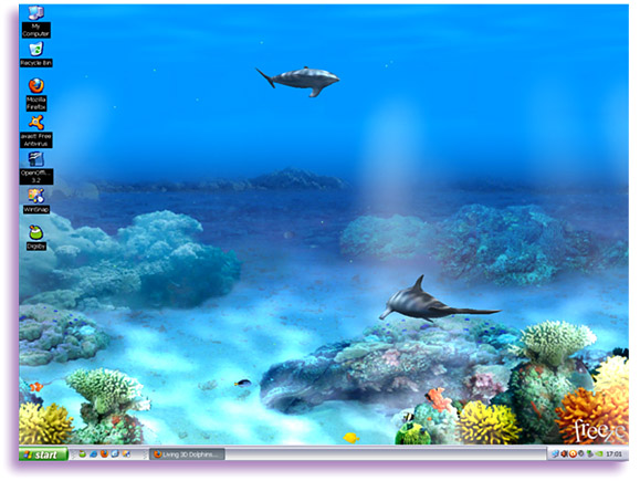 Living 3d Dolphins Wallpaper Animated