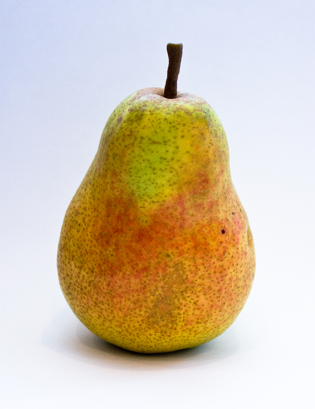 Pear Fruit HD Wallpaper Fruits
