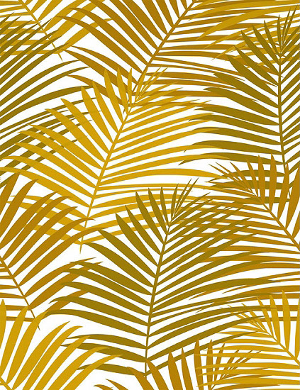 Palm displays overlapping palm fronds to create an energetic pattern 423x550