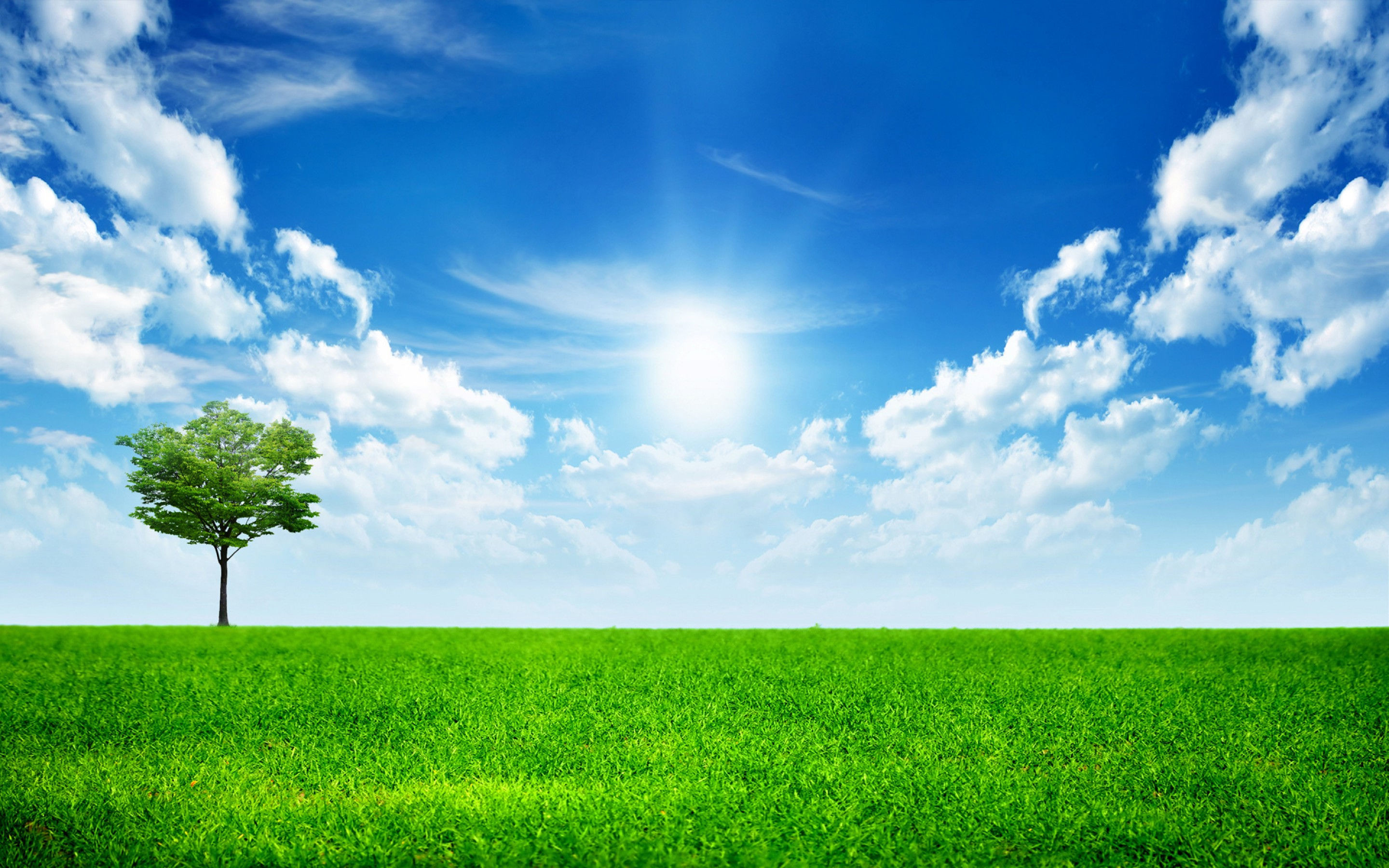 Beautiful High Definition Wallpaper