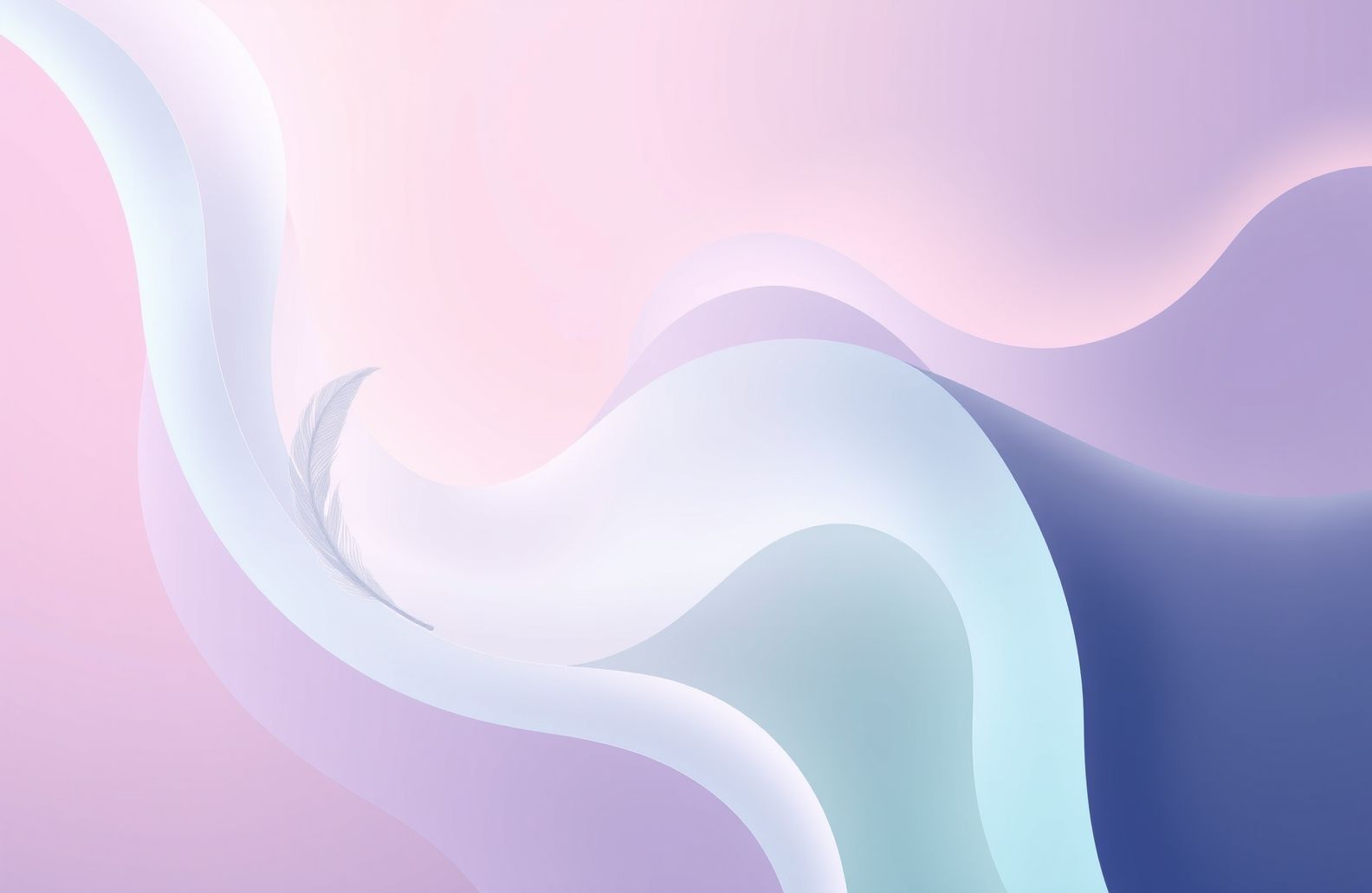 Sorry Wallpaper