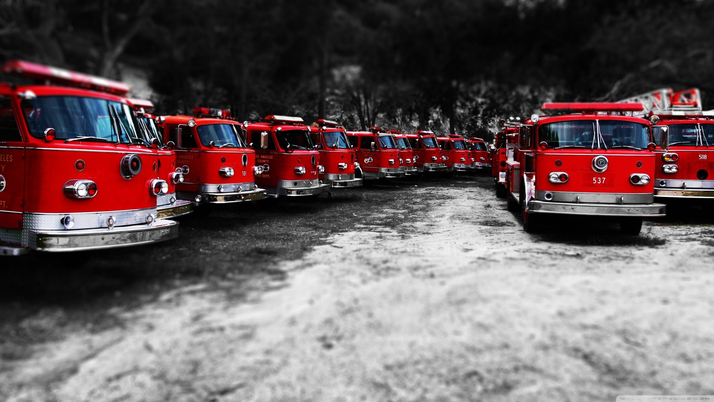 A fleet of vintage Los Angeles Fire Department (LAFD) fire trucks, parked in formation, showcasing their classic red design against a desaturated background