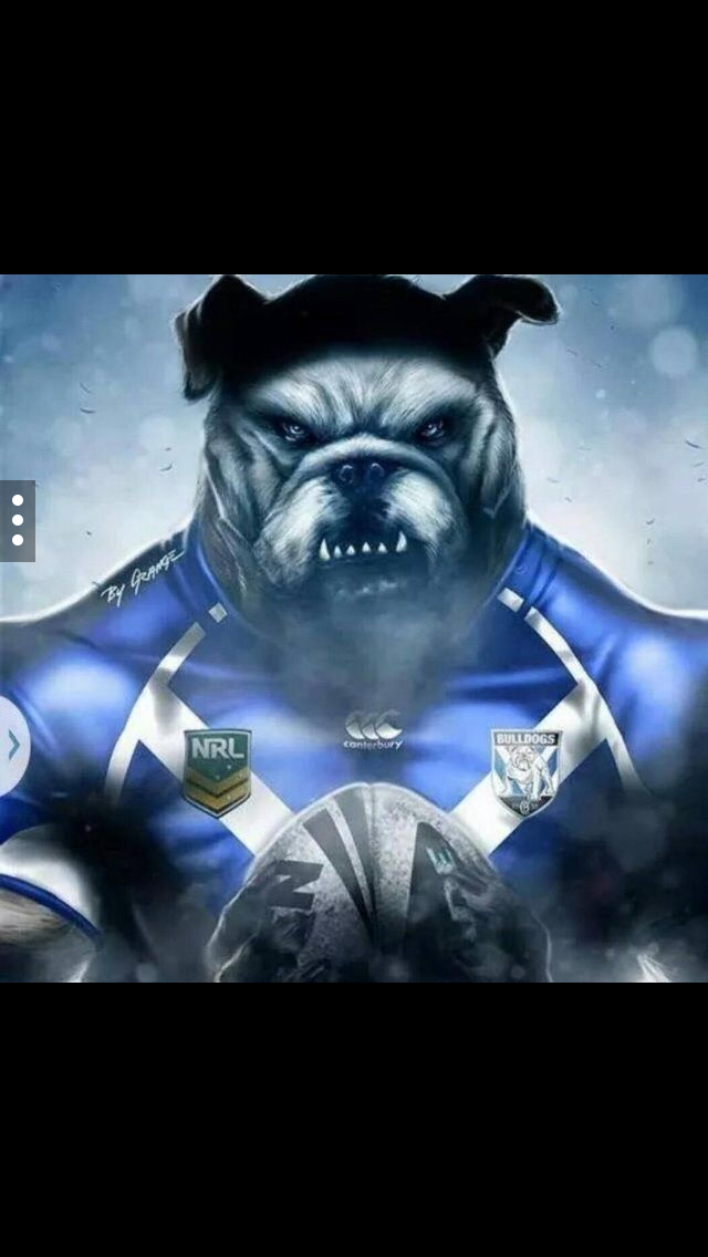 Free download Best 25 Nrl bulldogs ideas Canterbury [640x1136] for your ...
