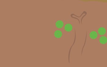 Sudowoodo Pok Mon HD Wallpaper Background