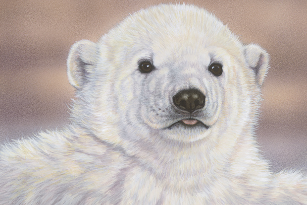 Baby Polar Bear Wall Mural Photo Wallpaper Photowall