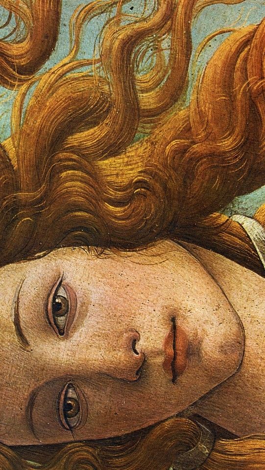 Artsy Lockscreens The Birth Of Venus By Sandro Botticelli Like