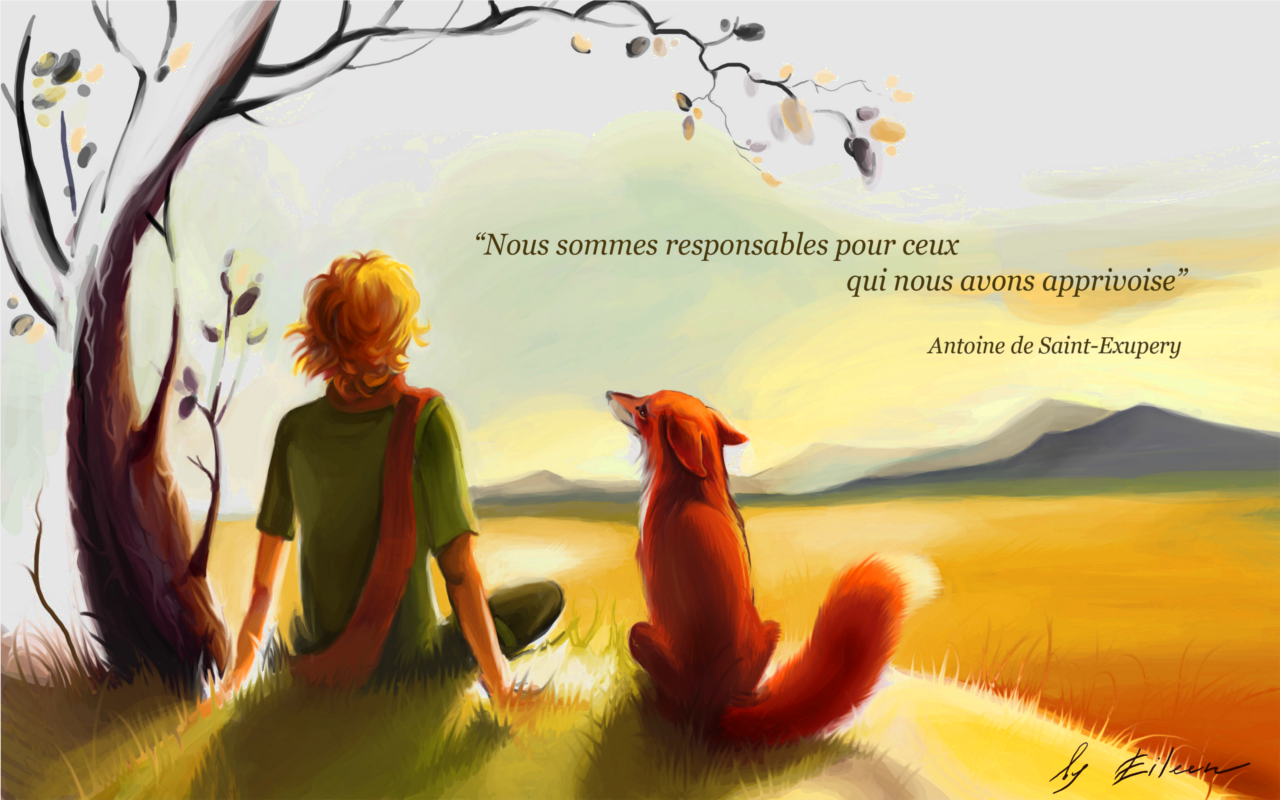 Le Petit Prince By Keileena Agrowalker Customization Wallpaper